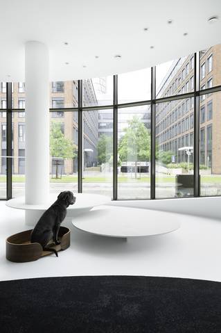 mellow floor showroom seamless