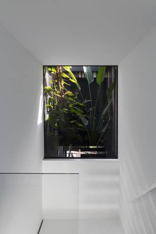 huis RIDD mellow wit botanical