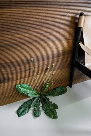 Noorwegen Mellow gietvloer detail