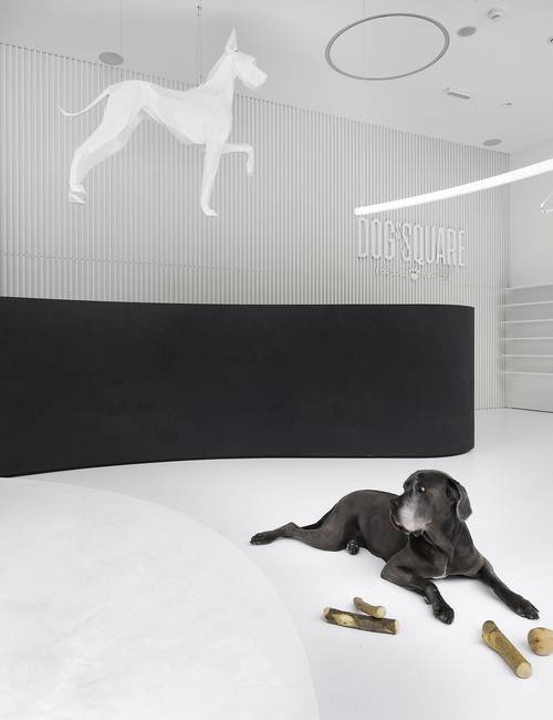 white floor showroom