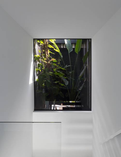 huis RIDD mellow wit botanical
