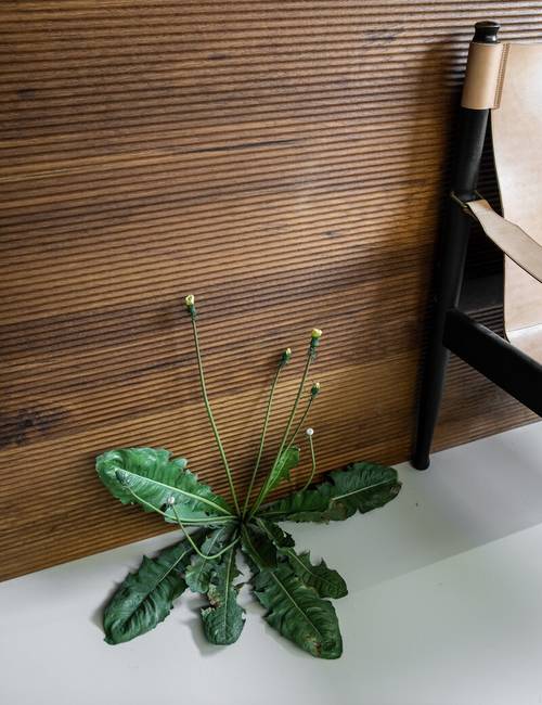 Noorwegen Mellow gietvloer detail